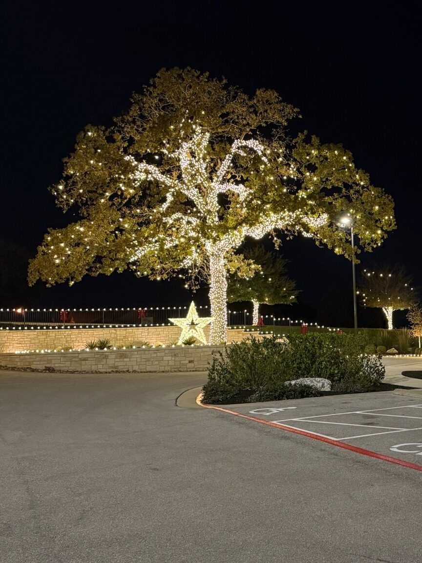 Neighborhood amenity center with roofline lights, a fully wrapped oak tree, and large lighted star displays